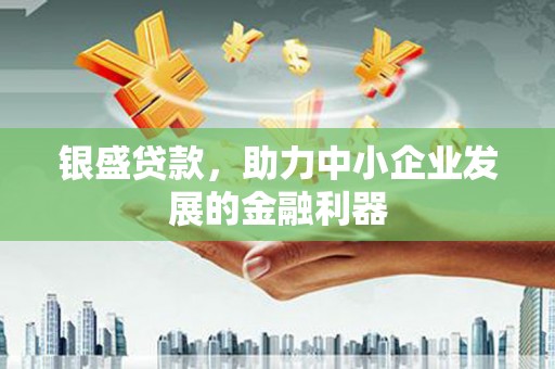 民和银盛贷款，助力中小企业发展的金融利器