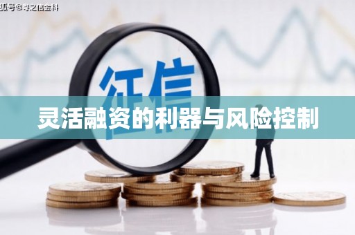 民和灵活融资的利器与风险控制