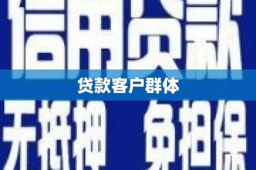 民和贷款客户群体