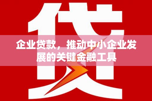 民和企业贷款，推动中小企业发展的关键金融工具