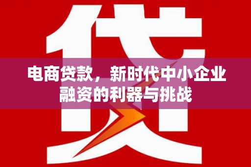 民和电商贷款，新时代中小企业融资的利器与挑战