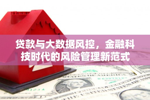 民和贷款与大数据风控，金融科技时代的风险管理新范式