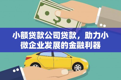 民和小额贷款公司贷款，助力小微企业发展的金融利器