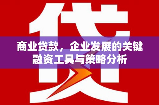 民和商业贷款，企业发展的关键融资工具与策略分析