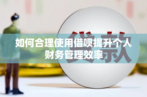 民和如何合理使用借呗提升个人财务管理效率