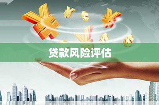 民和贷款风险评估
