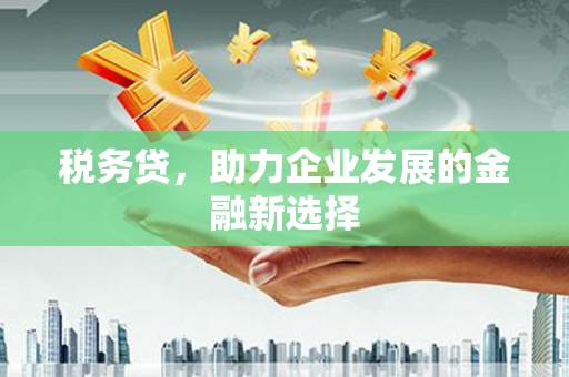 民和税务贷，助力企业发展的金融新选择
