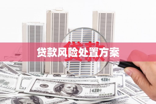 民和贷款风险处置方案