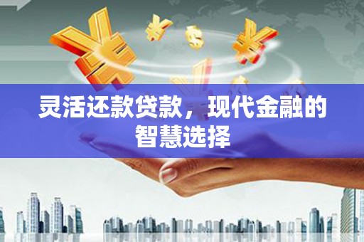 民和灵活还款贷款，现代金融的智慧选择