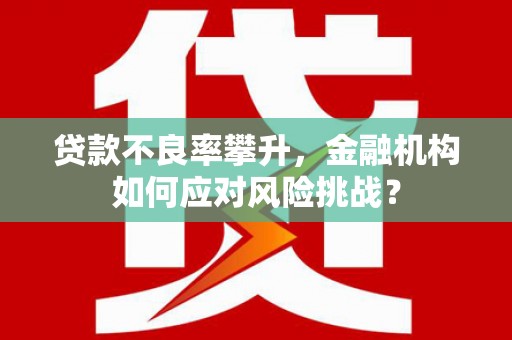 民和贷款不良率攀升，金融机构如何应对风险挑战？