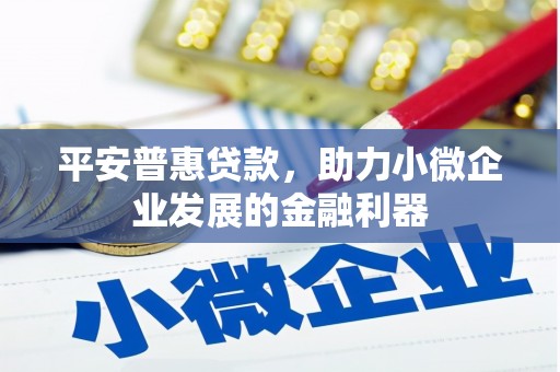 民和平安普惠贷款，助力小微企业发展的金融利器