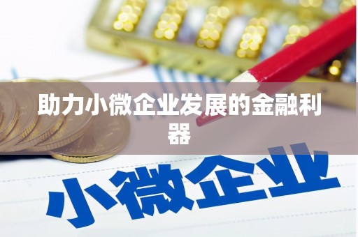 民和助力小微企业发展的金融利器