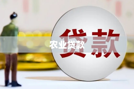民和农业贷款