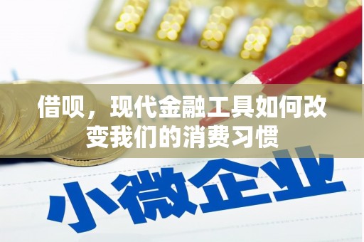 民和借呗，现代金融工具如何改变我们的消费习惯
