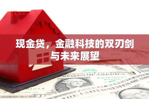 民和现金贷，金融科技的双刃剑与未来展望