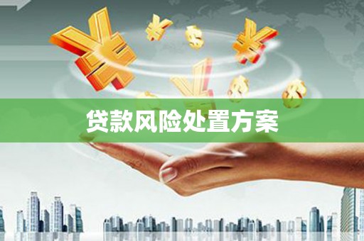 民和贷款风险处置方案