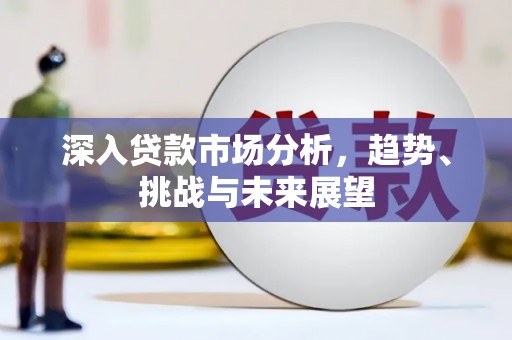 民和深入贷款市场分析，趋势、挑战与未来展望