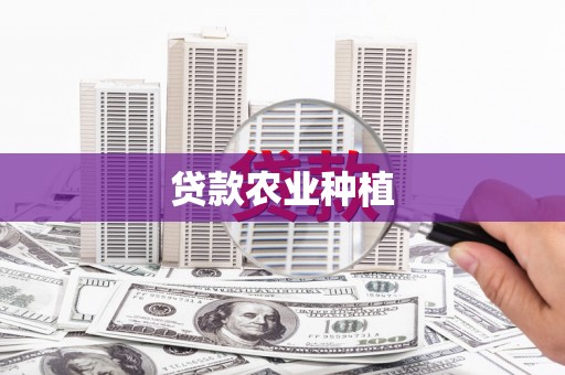 民和贷款农业种植