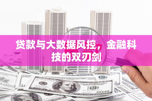 民和贷款与大数据风控，金融科技的双刃剑