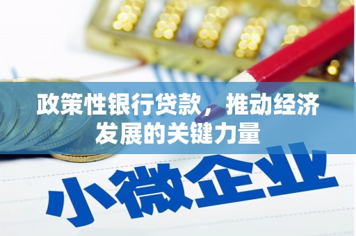 民和政策性银行贷款，推动经济发展的关键力量