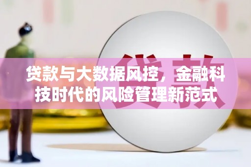 民和贷款与大数据风控，金融科技时代的风险管理新范式