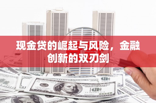民和现金贷的崛起与风险，金融创新的双刃剑
