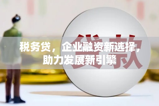 民和税务贷，企业融资新选择，助力发展新引擎