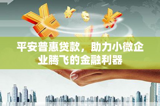 民和平安普惠贷款，助力小微企业腾飞的金融利器