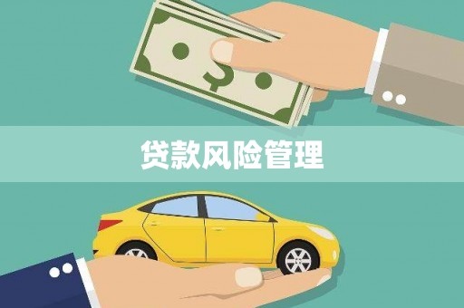 民和贷款风险管理