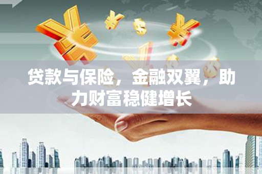 民和贷款与保险，金融双翼，助力财富稳健增长