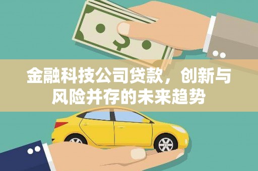 民和金融科技公司贷款，创新与风险并存的未来趋势