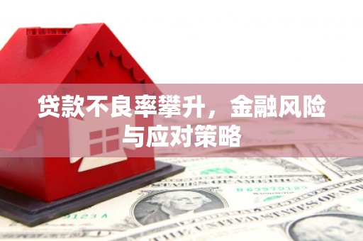 民和贷款不良率攀升，金融风险与应对策略