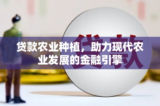民和贷款农业种植，助力现代农业发展的金融引擎