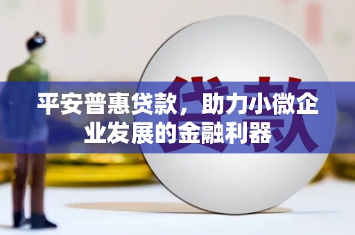 民和平安普惠贷款，助力小微企业发展的金融利器