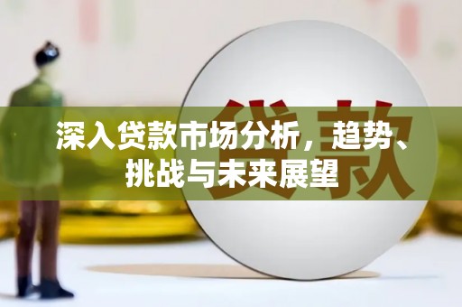 民和深入贷款市场分析，趋势、挑战与未来展望