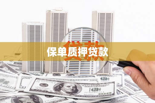 民和保单质押贷款