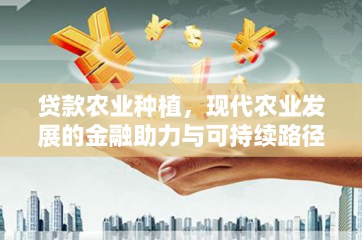 民和贷款农业种植，现代农业发展的金融助力与可持续路径
