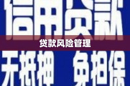 民和贷款风险管理