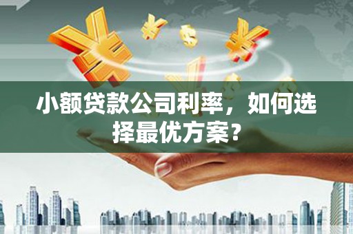 民和小额贷款公司利率，如何选择最优方案？