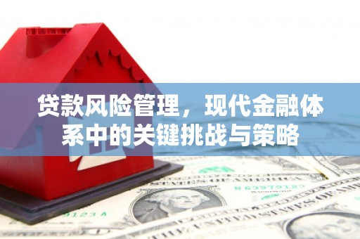 民和贷款风险管理，现代金融体系中的关键挑战与策略