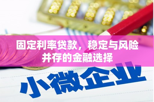 民和固定利率贷款，稳定与风险并存的金融选择