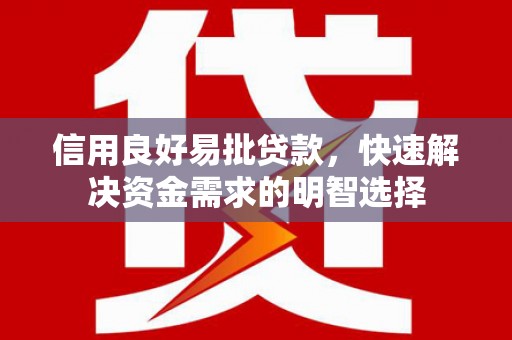 民和信用良好易批贷款，快速解决资金需求的明智选择