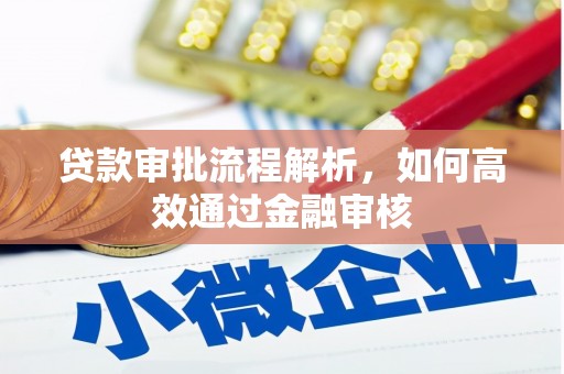 民和贷款审批流程解析，如何高效通过金融审核
