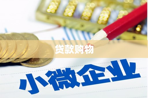 民和贷款购物
