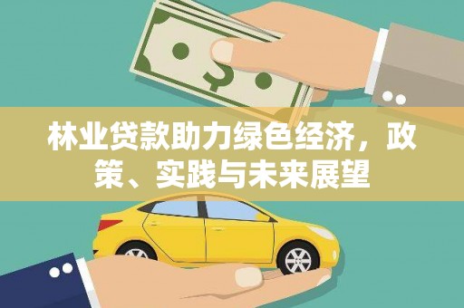 民和林业贷款助力绿色经济，政策、实践与未来展望