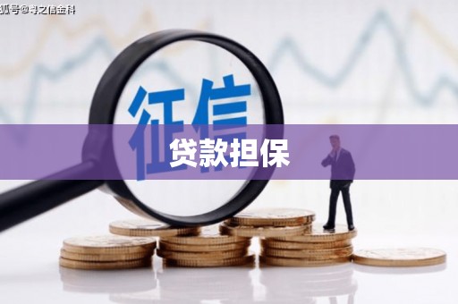 民和贷款担保