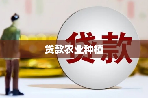 民和贷款农业种植