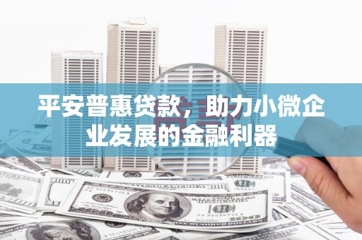 民和平安普惠贷款，助力小微企业发展的金融利器