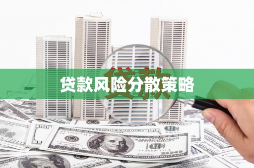 民和贷款风险分散策略