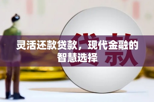民和灵活还款贷款，现代金融的智慧选择